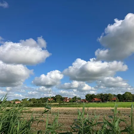 Holiday home Haus De Boeoei *