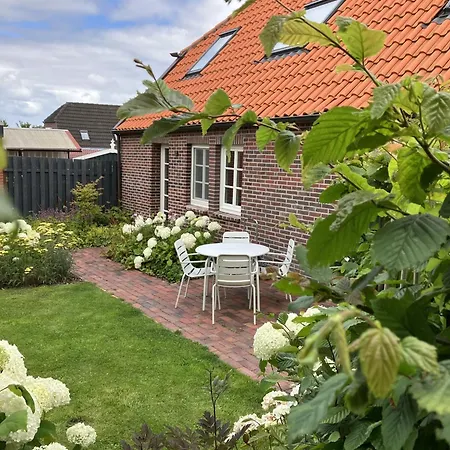 Haus De Boeoei Dornum